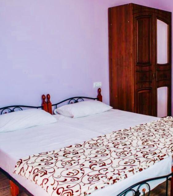 Anna-Saria Guest House 加格拉 外观 照片